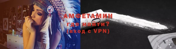 ПСИЛОЦИБИНОВЫЕ ГРИБЫ Арсеньев