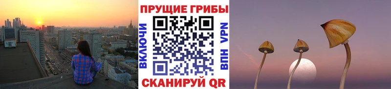 Галлюциногенные грибы мицелий  наркота  Североуральск 